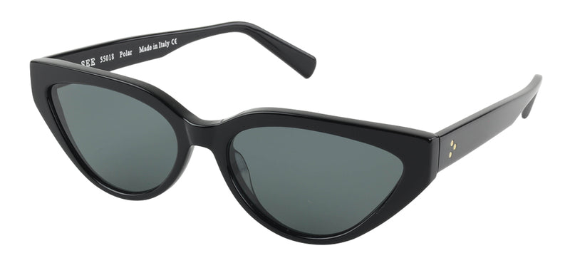 SEE 55018 Polar.