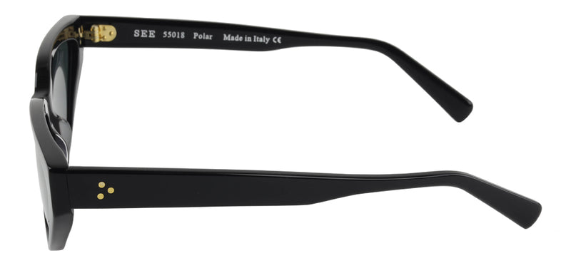 SEE 55018 Polar.