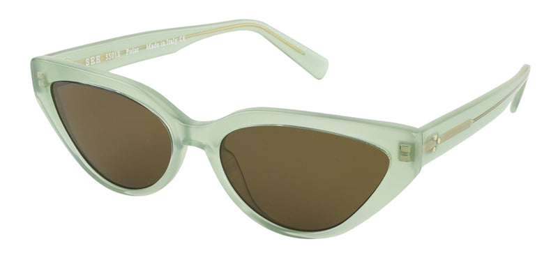 SEE 55018 Polar.