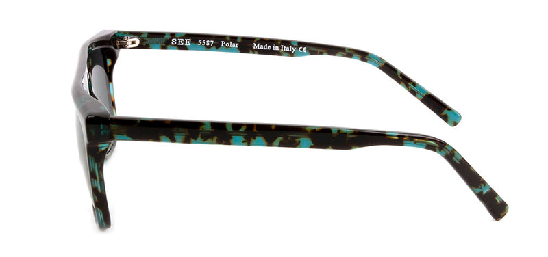 SEE 5587 Polar.