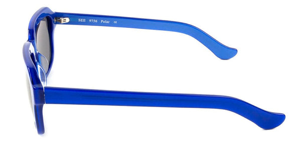 SEE 9756 POLAR.