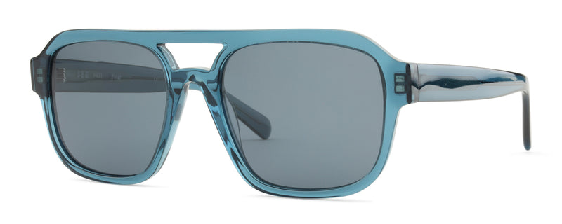 SEE 9831 POLAR
